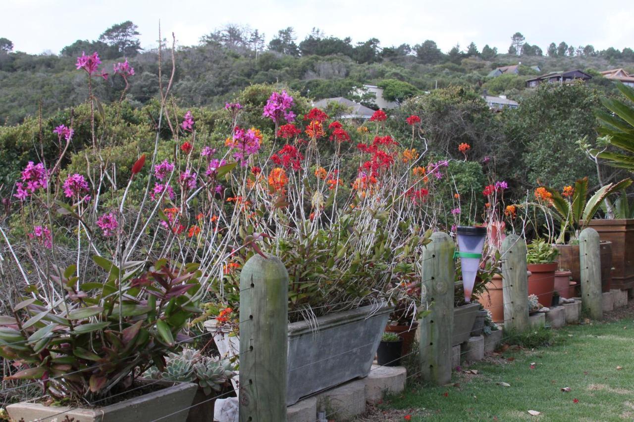 Imperani Daire Plettenberg Bay Dış mekan fotoğraf